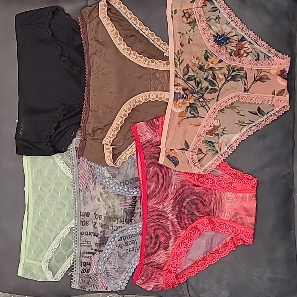 6 Sheer Panties Medium NWOT